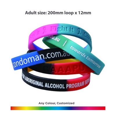 Sectional Coloured Wristband (PCW003_PC)
