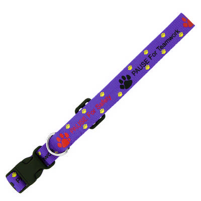 Dog Collar 10mm (L604_PB)