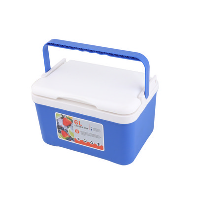 6L Cooler Box (PCH315_PC)
