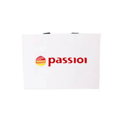 Large Paper Bag with Thread Flat Handle(380 x 270 x 120mm) (PCPB162_PC)