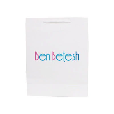 Medium Vertical Paper Bag with Fabric Flat Handle(210 x 270 x 110mm) (PCPB171_PC)