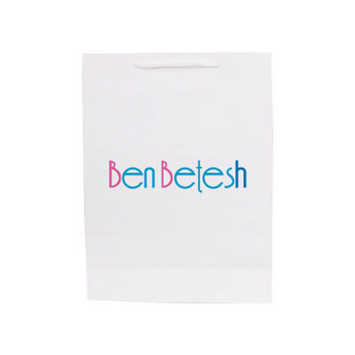 Large Vertical Paper Bag with Fabric Flat Handle(300 x 400 x 110mm) (PCPB172_PC)