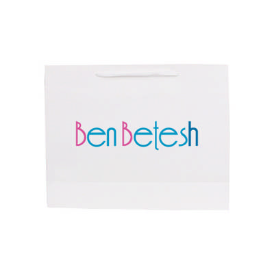 Large Crosswise Paper Bag with Fabric Flat Handle(320 x 250 x 110mm) (PCPB175_PC)