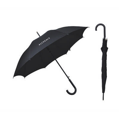 Business Umbrella (PXL3965_PC)