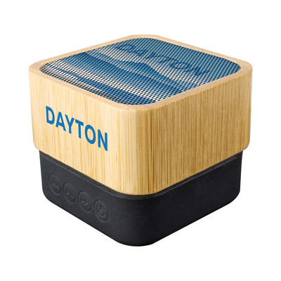 Dayton Wireless Speaker (Stock) (AR1206s_PROMOITS)
