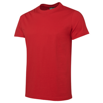 C Of C Fitted Tee (S1NFT_JBS)