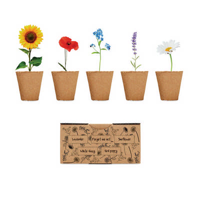 Flowers growing kit