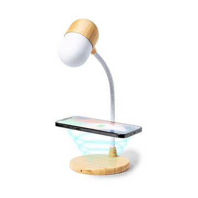 Limited Edition Multifunction Lamp