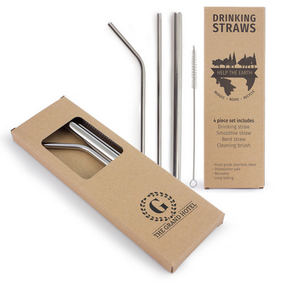 4 Piece Stainless Steel Straw Set