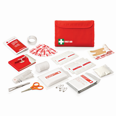 First Aid Kit 31pc (FA114_GLOBAL) First Aid Kit 31pc